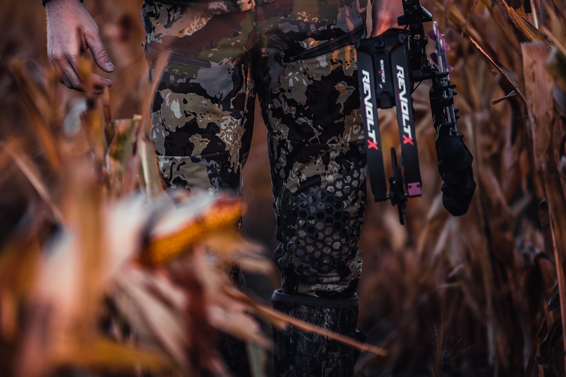A person holding a gun stands in a cornfield, surrounded by tall stalks under a clear blue sky.