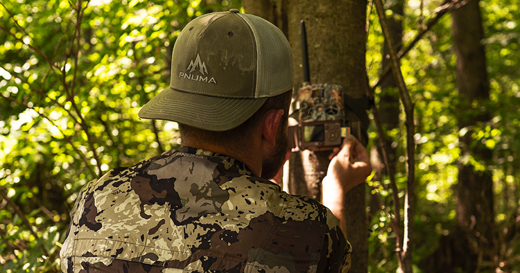 Trail Camera Tips and Tactics for Summer-Time Bucks