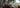 Central Colorado Bull Elk 2024 - Pnuma Outdoors
