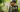 Early-Season Whitetail Hunting Tactics - Pnuma Outdoors