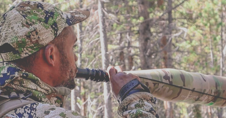 How-To Call in Elk with a World Elk Calling Champion