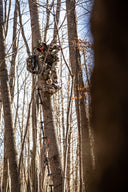 SHOP-Pnuma Outdoors