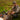 In Line Items - Pnuma Outdoors