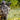 Scent Control - Pnuma Outdoors