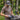 Tees & Short Sleeve Tops - Pnuma Outdoors