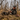 Windproof Hunting Jackets - Pnuma Outdoors