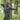PNUMA RENEGADE SWIFT QUARTER - ZIP - Pnuma Outdoors
