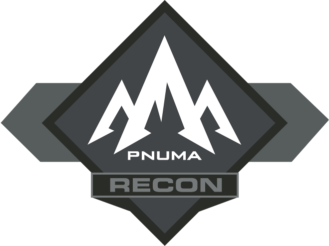Recon Team Badge
